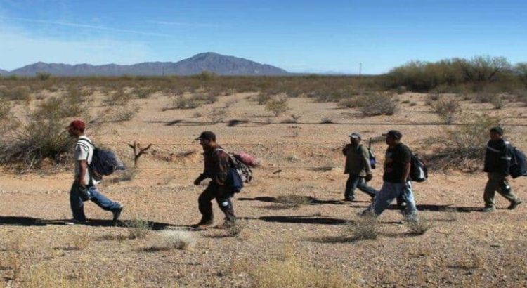 Aseguran a casi 500 migrantes en frontera entre Sonora y Arizona