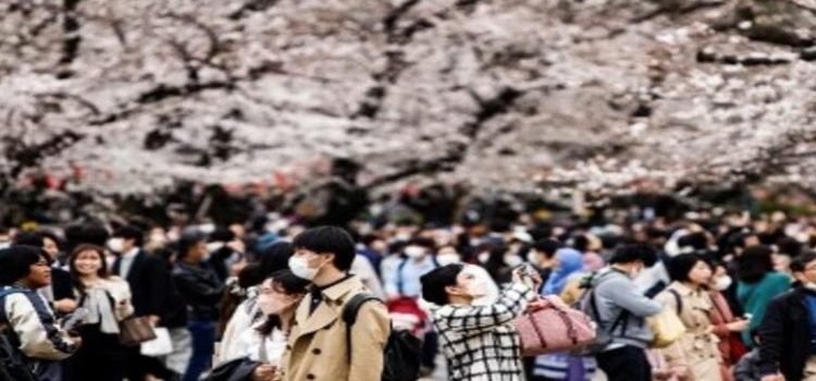A pesar de la inflación, el turismo internacional ya casi volvió a niveles prepandémicos