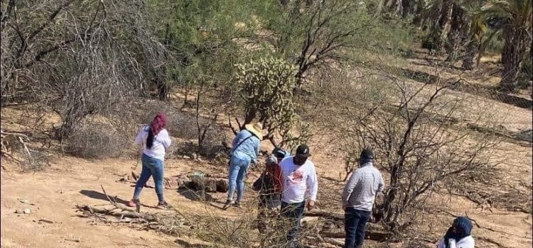 Rastreadoras de Caborca localizan cuerpo sin vida