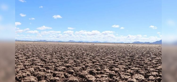 Sequía en Sonora: Sector empresarial preocupado por la falta de agua