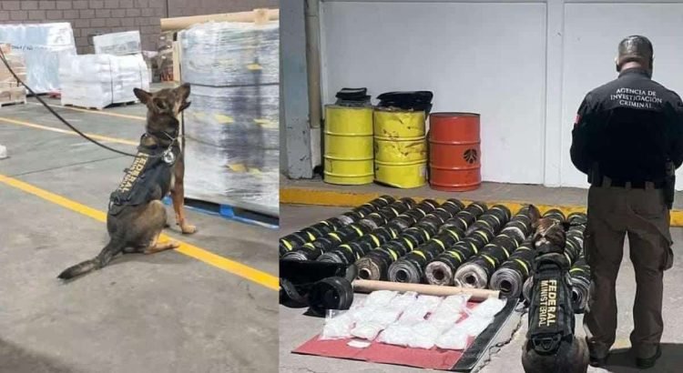 Aseguran 138 kilos de metanfetamina en una empresa de paquetería en Sonora