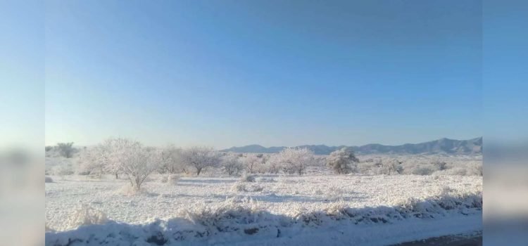 Caída de nieve sorprende a Sonora