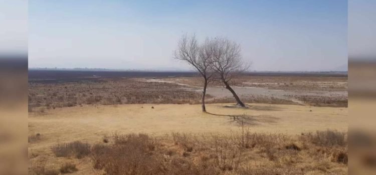Aumenta la sequía en Sonora: los 72 municipios tienen problemas