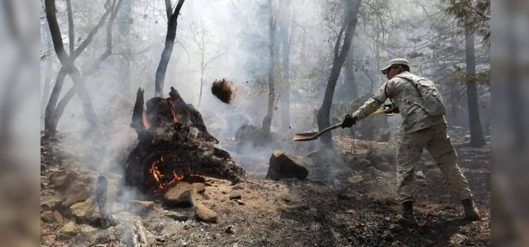 Pronostican incremento de incendios forestales en Sonora