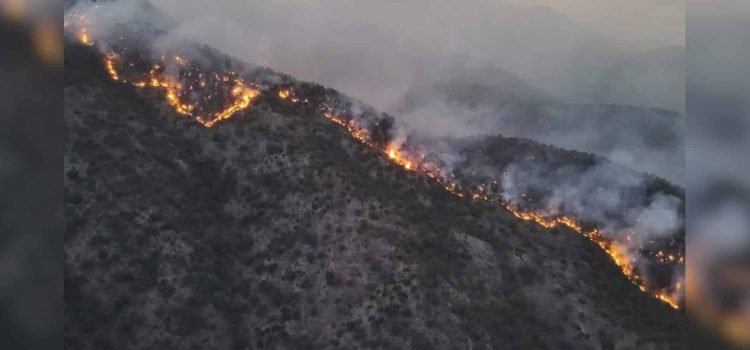 Incendios forestales en Sonora: 11 siniestros, principalmente en el sur del estado