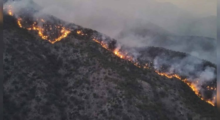 Incendios forestales en Sonora: 11 siniestros, principalmente en el sur del estado