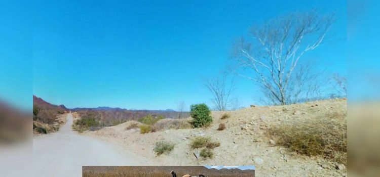 Sonora seguirá sin lluvias durante mayo, advierte Conagua