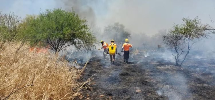 Sonora registra menos incendios forestales en 2025 que en años anteriores