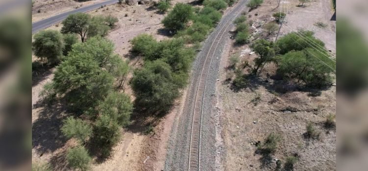 Niños encuentran restos óseos en Sonora