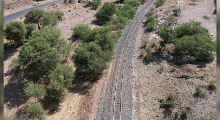 Niños encuentran restos óseos en Sonora