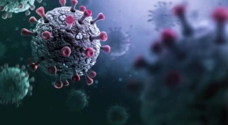 Emite la OMS alerta por virus Stratus
