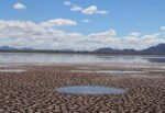 Sonora recupera 2% de su territorio de la sequía