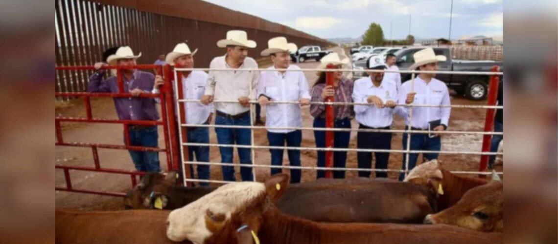 Sonora reanuda exportación de ganado a EU; es el primer estado autorizado