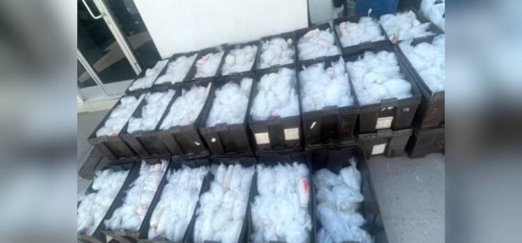 Cae transportista con más de 1.5 toneladas de metanfetamina en Sonora