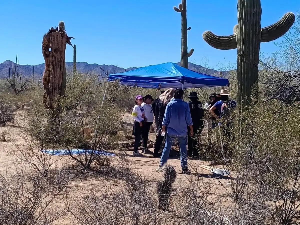 Hallan restos óseos humanos en desierto de Sonoyta; investigan posible fosa clandestina